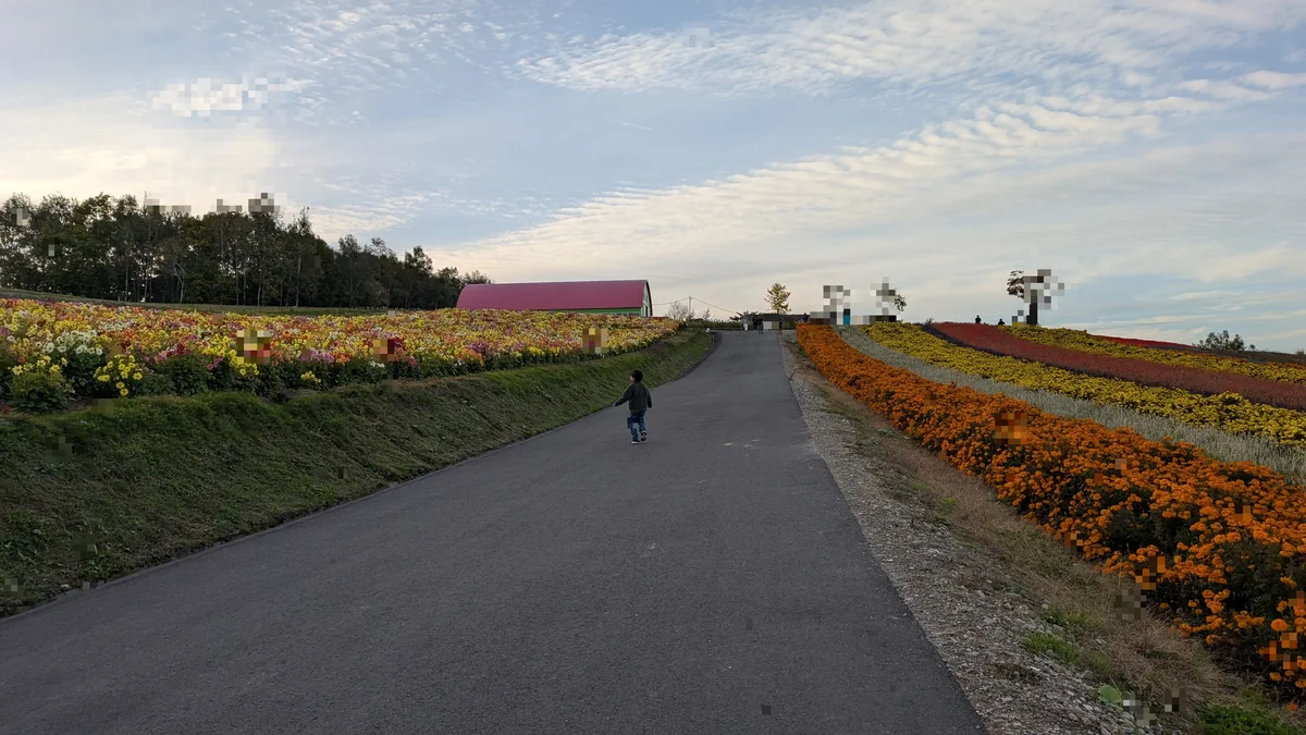 四季彩の丘 花畑パノラマ 四季彩の丘の色とりどりの花畑、北海道らしい広大なパノラマ風景が広がる観光スポット