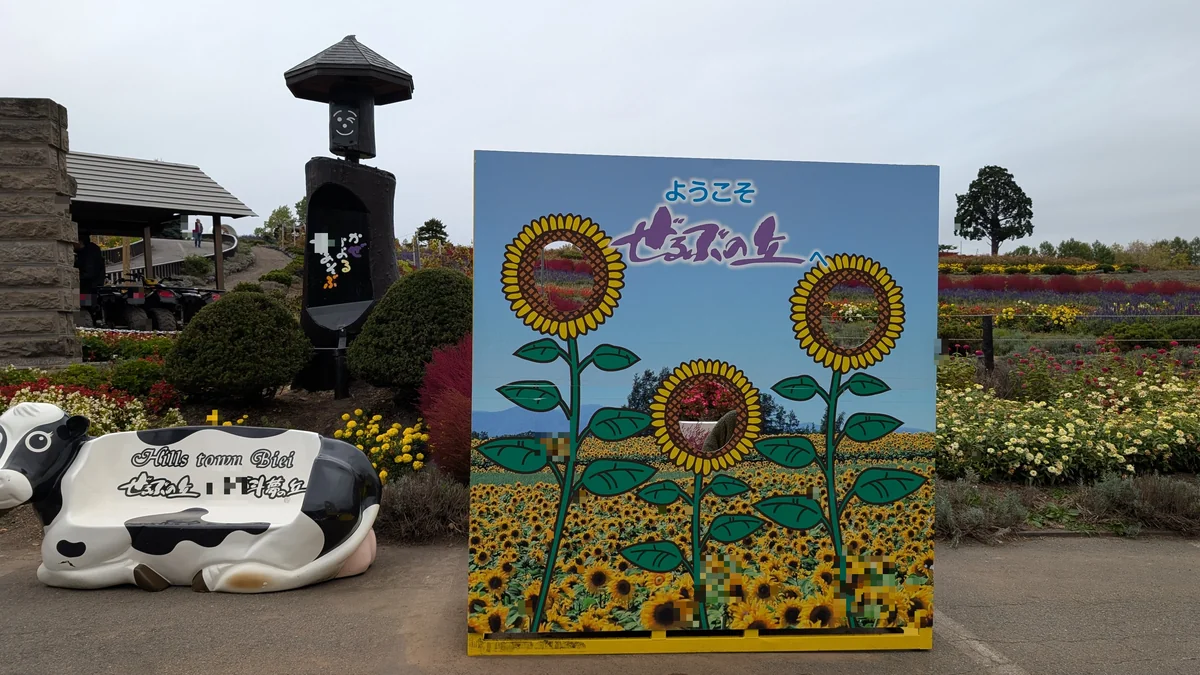 ぜるぶの丘 花畑 ぜるぶの丘の広大な花畑、カラフルな花々が丘陵に咲き誇る美瑛の人気観光スポット